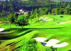 Image result for Man Golfing Sun Valley