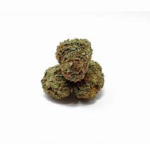 Image result for Flowering Sour Diesel Pictures