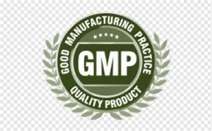 Image result for GMP Logo