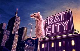 Image result for Rat City Book