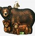 Image result for Bear 5