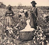 Image result for Black Picking Cotton