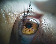 Image result for Macro Eye Photography Black and White