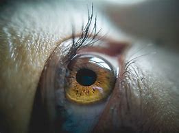 Image result for Macro Eye Photography African American