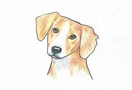 Image result for Realistic Dog Drawing Easy