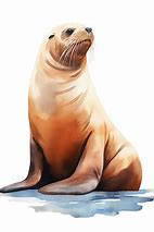 Image result for Nano Sea Lion Miniature