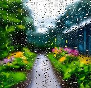 Image result for Rainy Day Back Yard