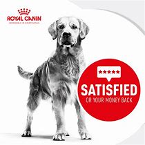 Image result for Royal Canin Senior Dog Food