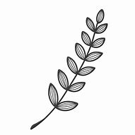 Image result for Leaf Line Art for Beginners