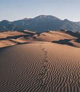 Image result for Mojave Desert National Monument