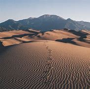 Image result for Mojave Desert Spiders