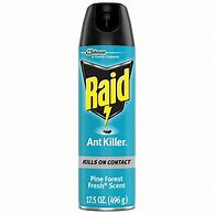 Image result for Raid Ant Spray