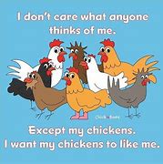 Image result for Crazy Chicken Meme