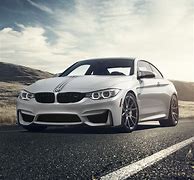 Image result for Drip Cat in BMW M4 PFP