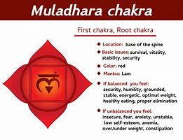 Image result for 1st Chakra