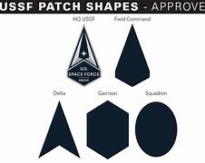 Image result for SpaceX USSF Patch