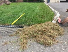 Image result for What Is a Dethatching Rake