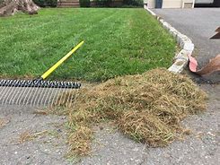 Image result for Dethatching Rake