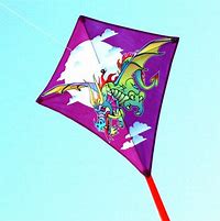 Image result for Davison Dragon Kite