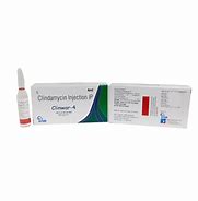 Image result for Clindamycin Inj