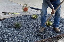 Image result for Agave Landscape Design