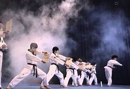 Image result for Taekwondo Tigers