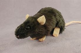 Image result for Rat Plushie Black