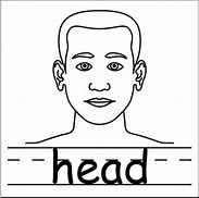 Image result for Body Parts Head