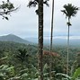 Image result for Rabaul Mask Festival