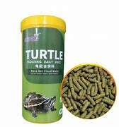 Image result for Red Spotted Turtle Food