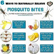 Image result for Treating Insect Bites