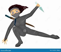 Image result for Ninja Girl Picture