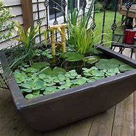 Image result for Aquascape Pond