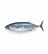 Image result for Tuna Viswa