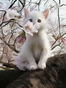 Image result for Kitten Spring Flowers