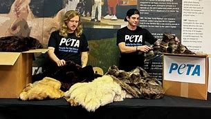 Image result for Peta Merbok