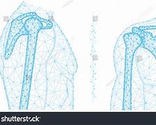 Image result for Shoulder and Collarbone