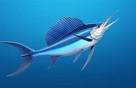 Image result for Blue Fish with Long Tail Fin