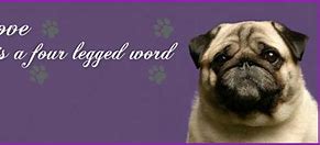 Image result for Pug Sayings