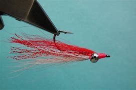 Image result for Clouser Minnow