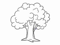 Image result for Tree Pics Art Black and White