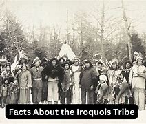 Image result for Iroquois Clans