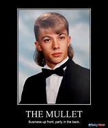 Image result for Funny Mullet Quotes