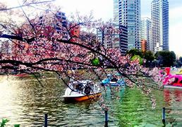 Image result for Ueno Park in Summer