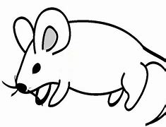 Image result for Line Drawn Clip Art