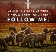 Image result for Sheep Hear My Voice Jesus