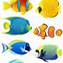 Image result for School of Clownfish