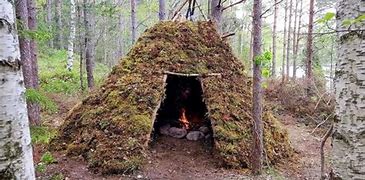 Image result for Build Survival Shelter