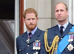 Image result for William and Prince Harry Party