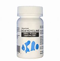 Image result for Doxycycline